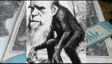 teoria evolutiei